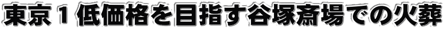 PቿiڎwJˍ֏ł̉Α