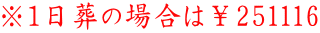 P̏ꍇ́251116