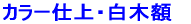 J[ʐ^