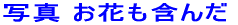SĊ܂ 