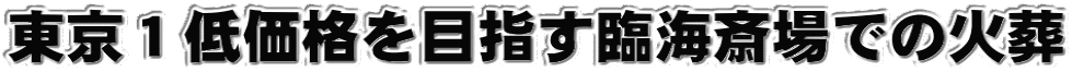 PቿiڎwՊC֏ł̉Α