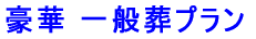  ʑv