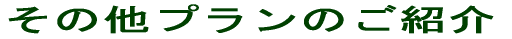 ቿȋVڎw܂