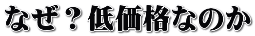 ȂHቿiȂ̂
